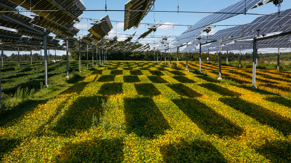 La canopée d'Amance, en Haute-Saône, est un démonstrateur mis en place par Dijon céréales, l'Alliance BFC et TSE depuis 2022.
